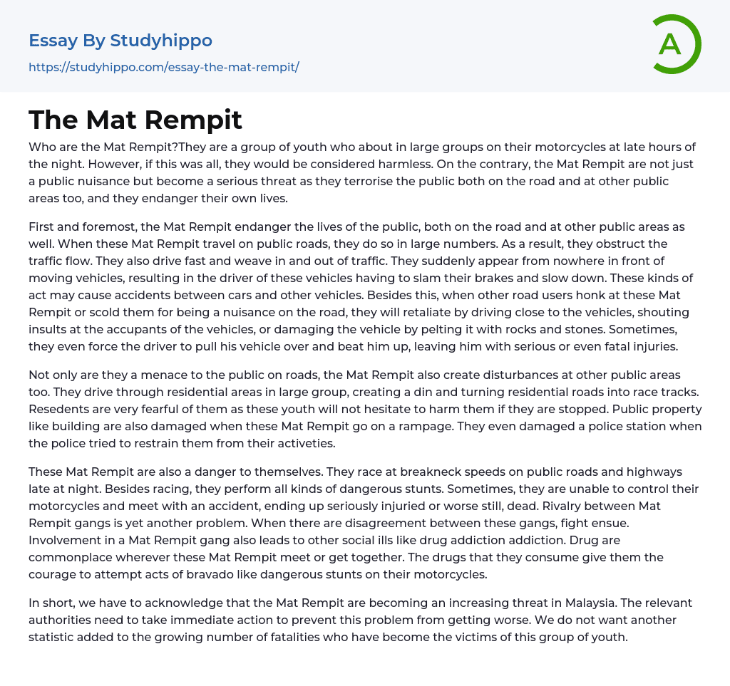 The Mat Rempit Essay Example