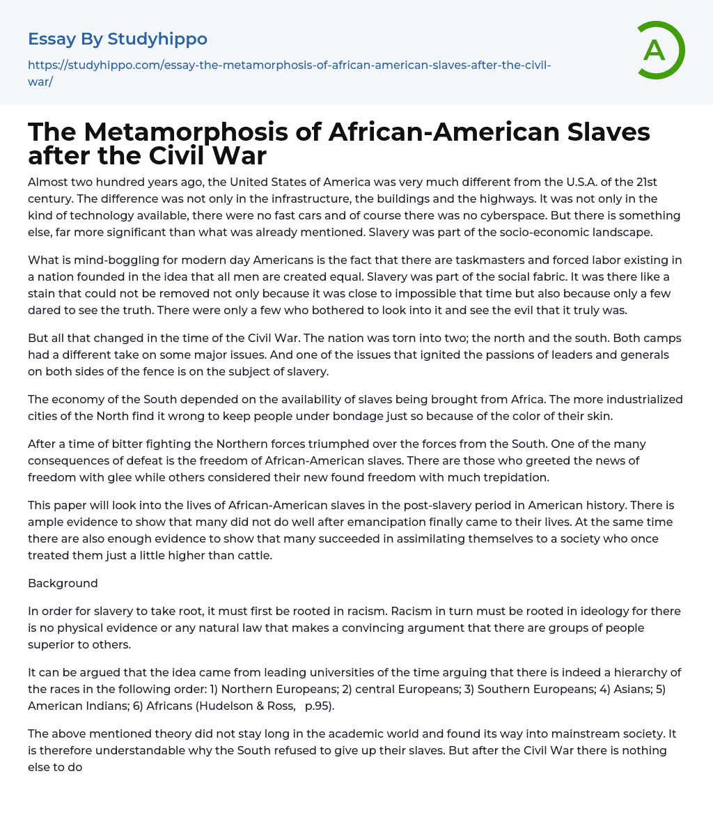 The Metamorphosis of African-American Slaves after the Civil War Essay Example