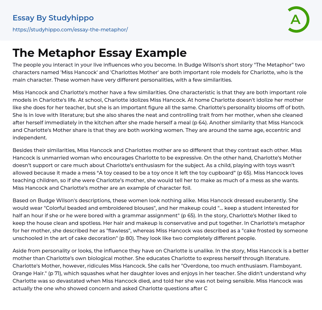 metaphors in essay writing