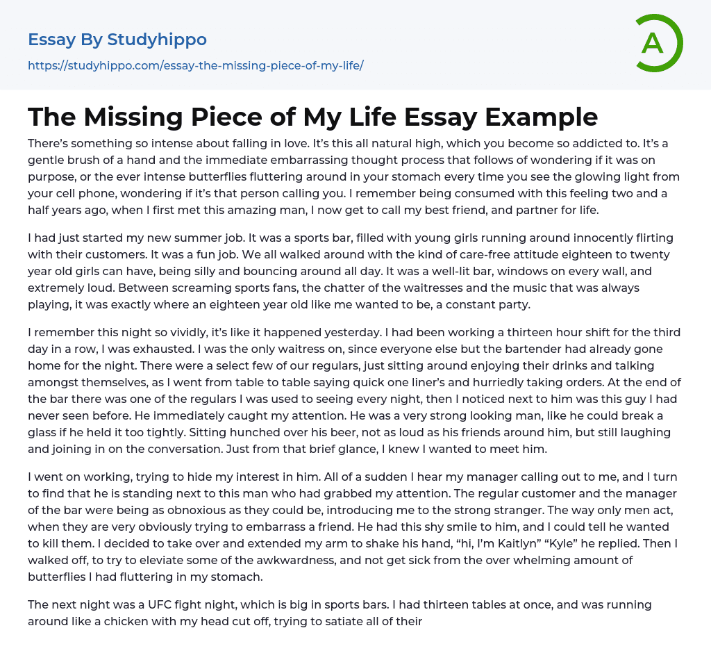 The Missing Piece of My Life Essay Example