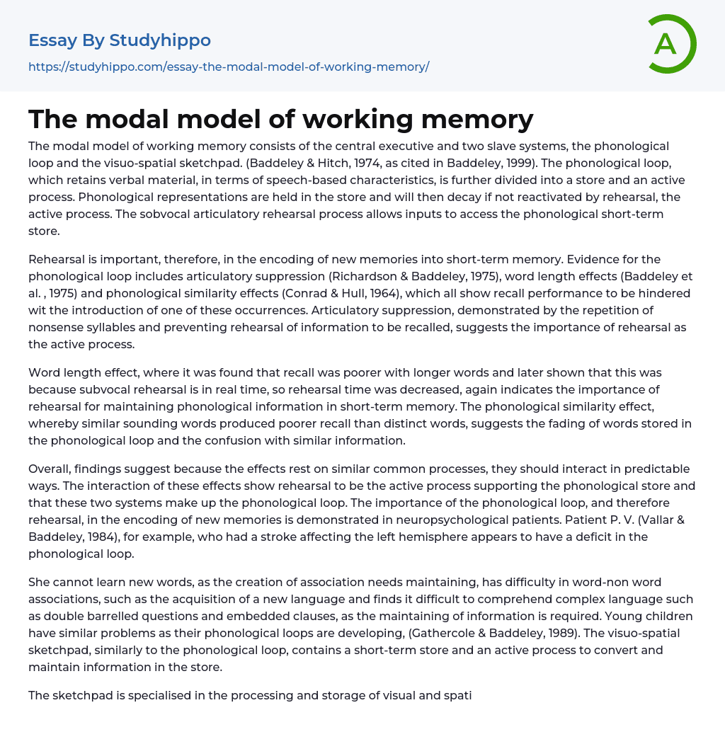 critical essay on working memory model