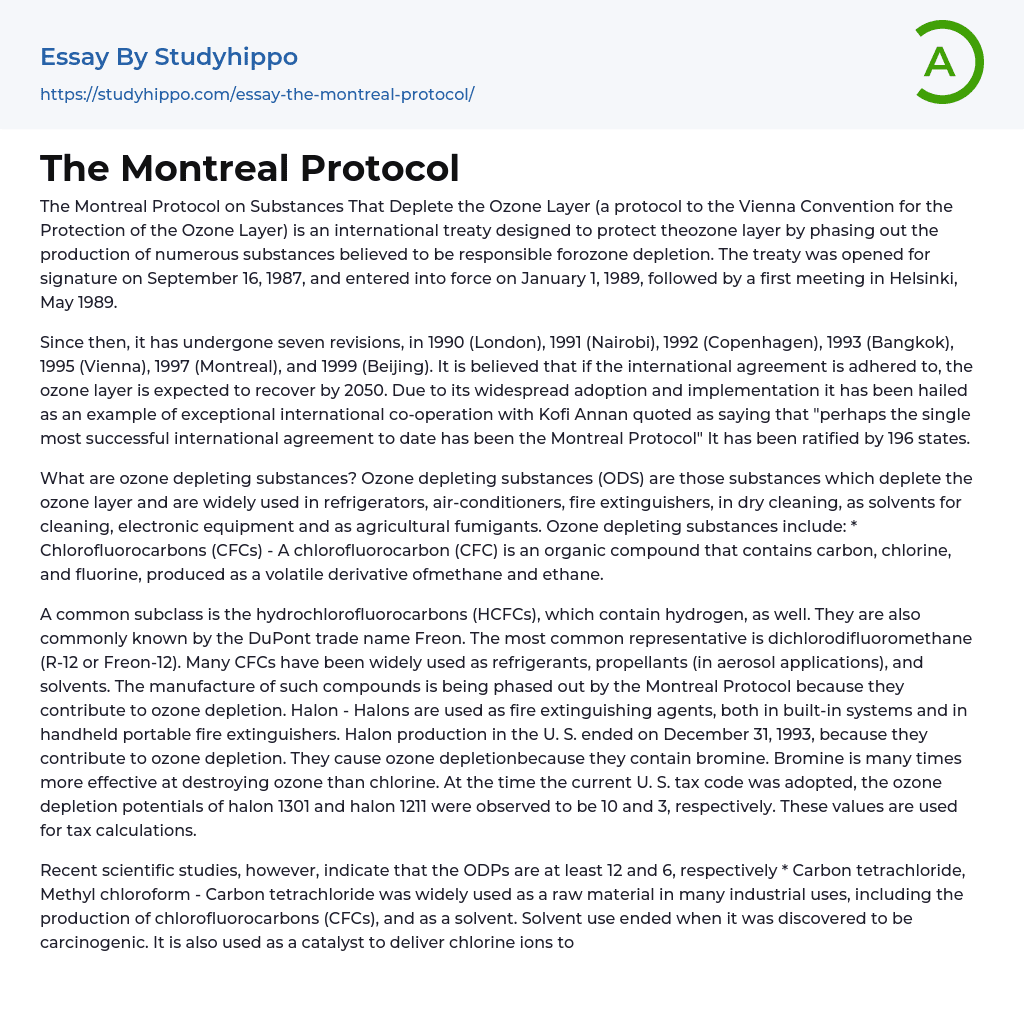 The Montreal Protocol Essay Example