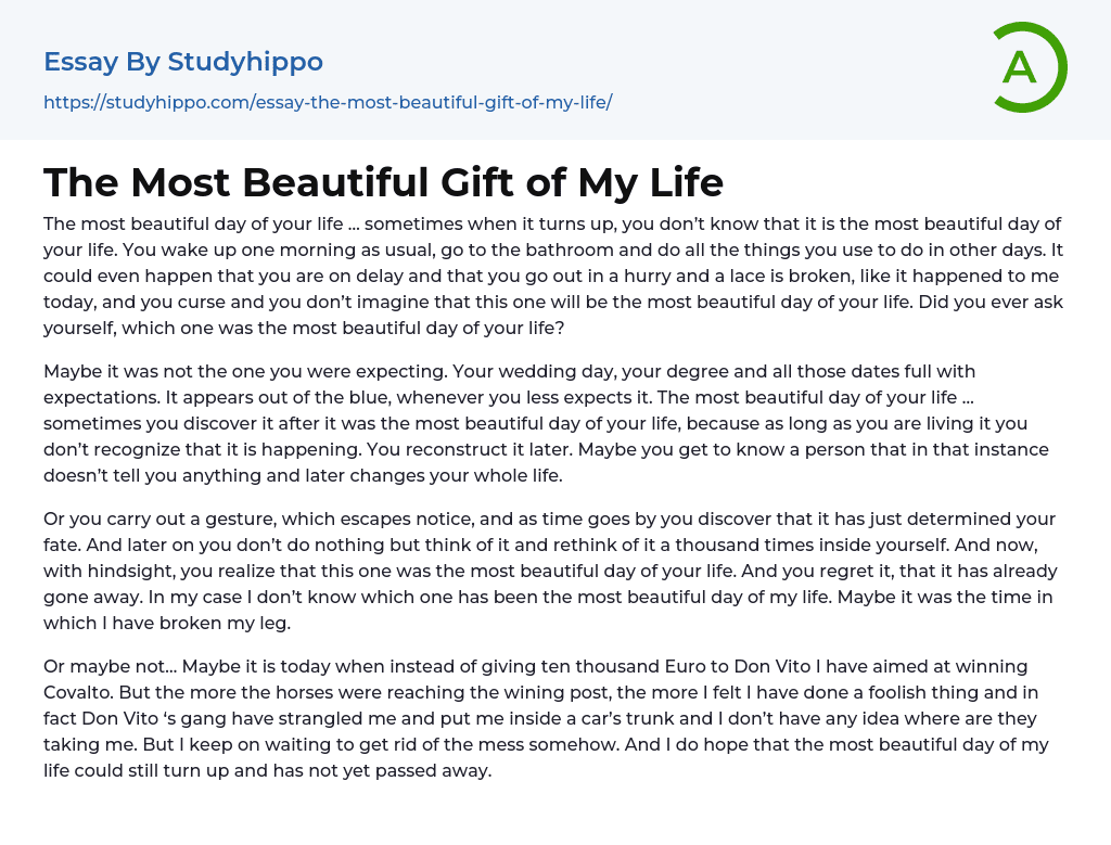 The Most Beautiful Gift of My Life Essay Example