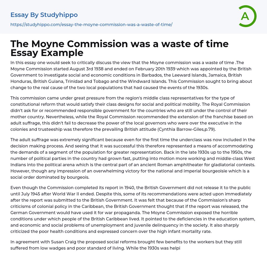 The Moyne Commission was a waste of time Essay Example