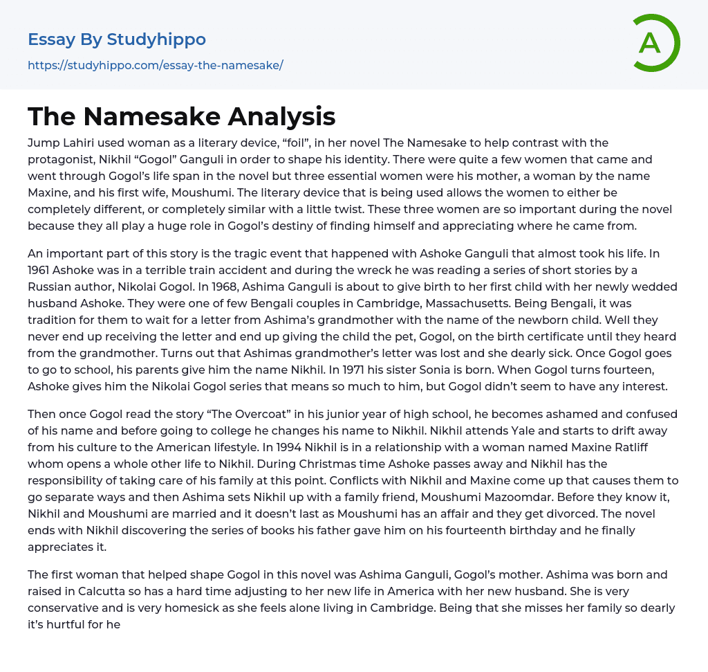 The Namesake Analysis Essay Example