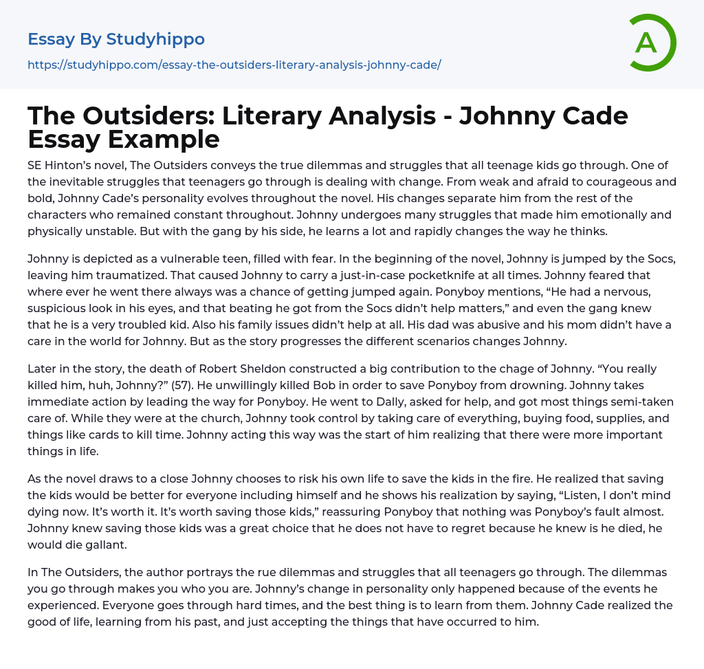 The Outsiders: Literary Analysis – Johnny Cade Essay Example