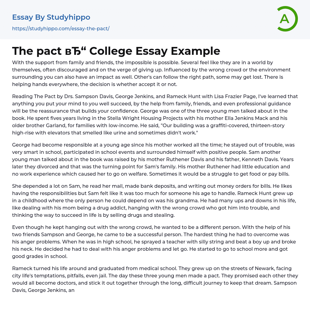 The pact College Essay Example