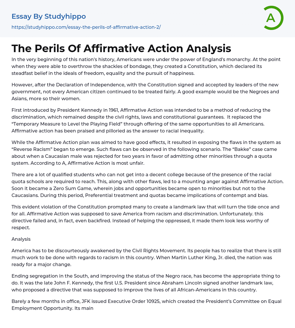 The Perils Of Affirmative Action Analysis Essay Example
