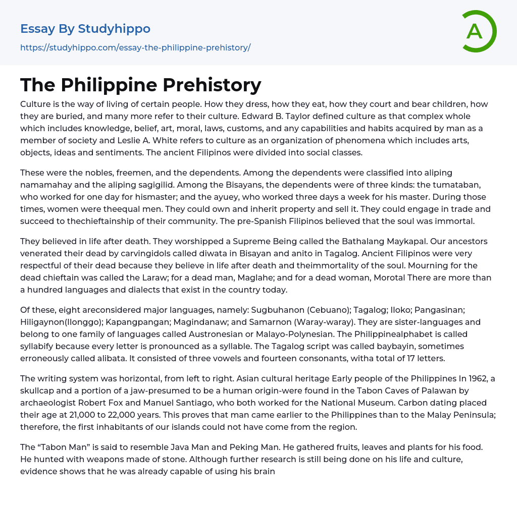 The Philippine Prehistory Essay Example