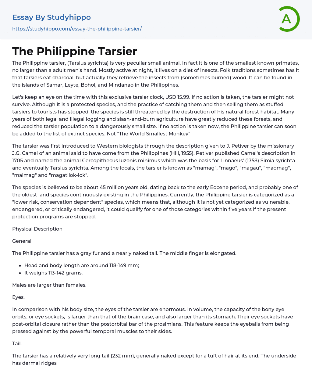 The Philippine Tarsier Essay Example