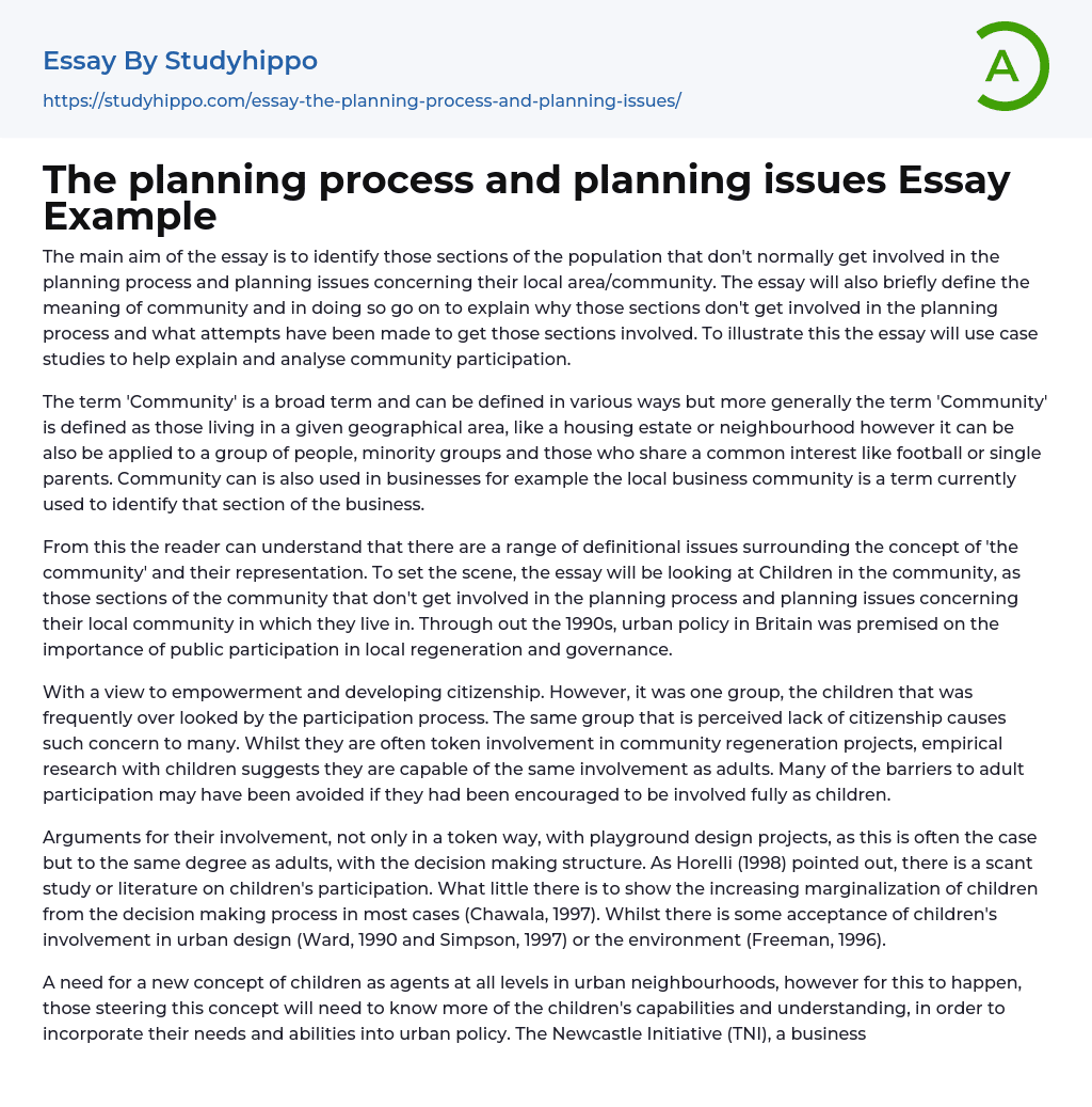 The planning process and planning issues Essay Example