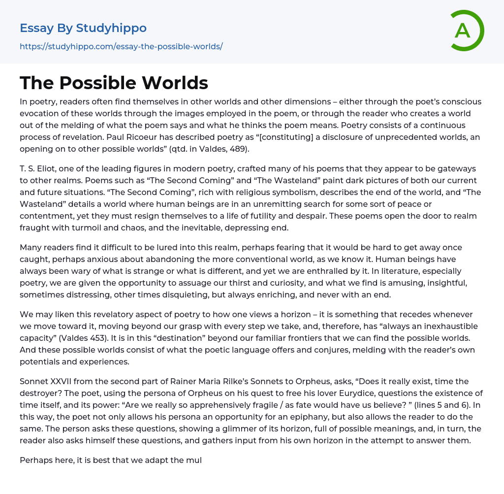 The Possible Worlds Essay Example