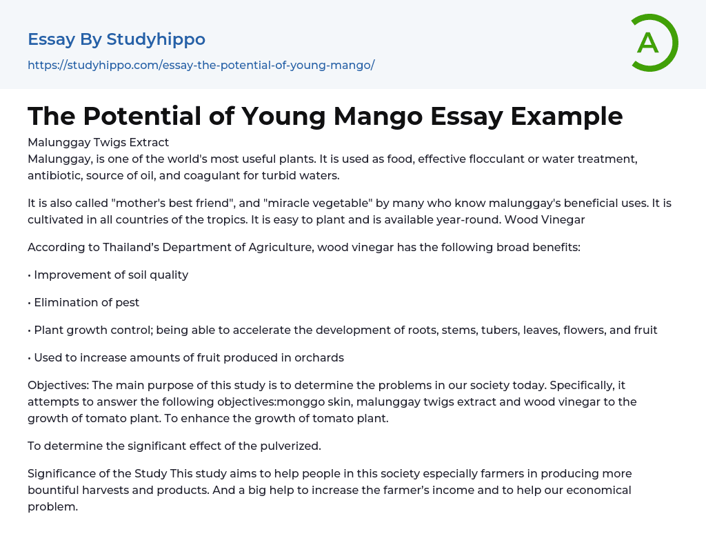 The Potential of Young Mango Essay Example