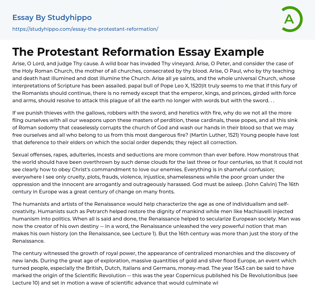 The Protestant Reformation Essay Example