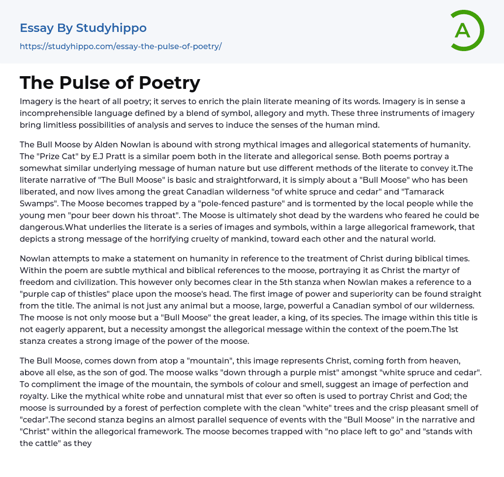 The Pulse of Poetry Essay Example
