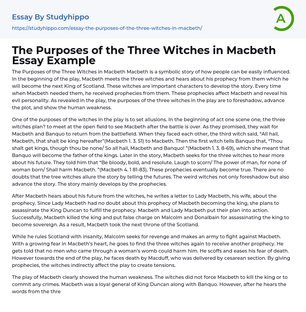 The Purposes of the Three Witches in Macbeth Essay Example
