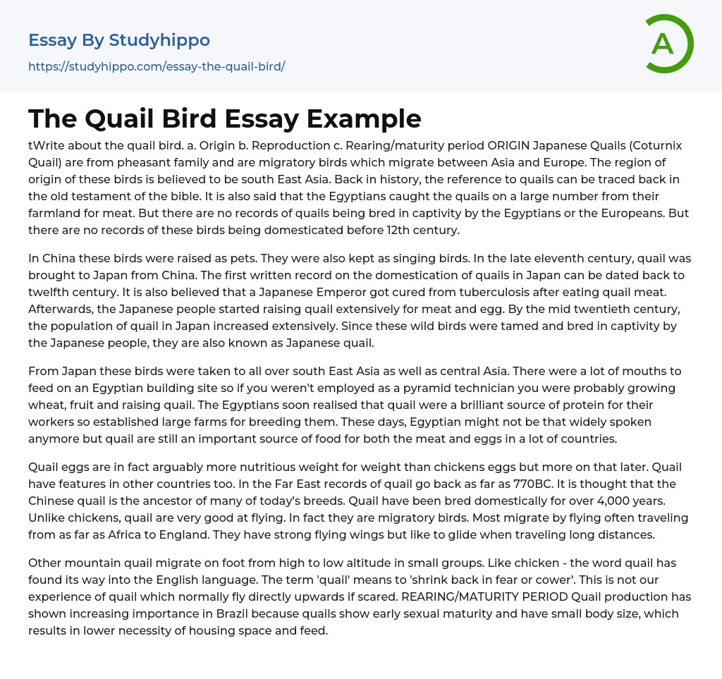 Japanese Quail – A Bird of the Pheasant Family Essay Example