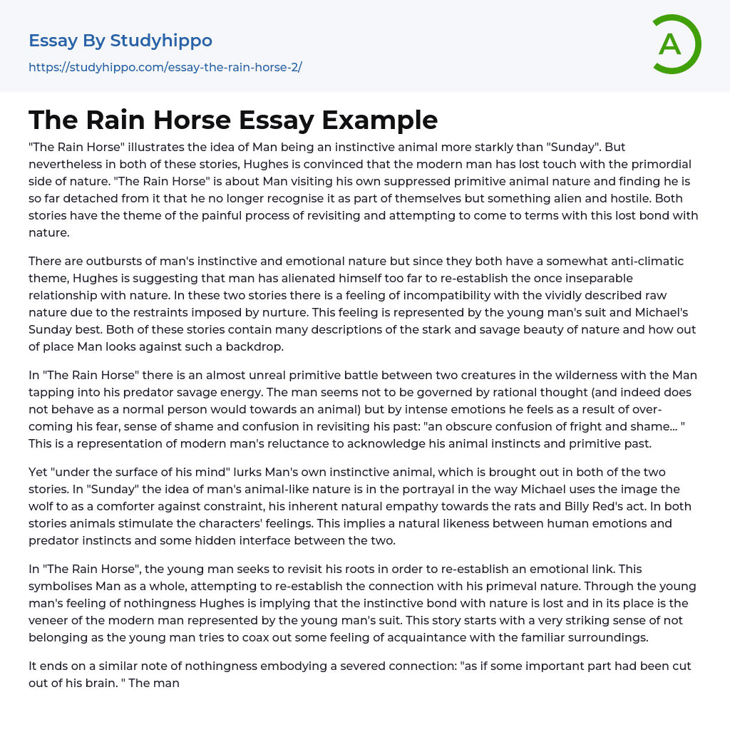 The Rain Horse Essay Example