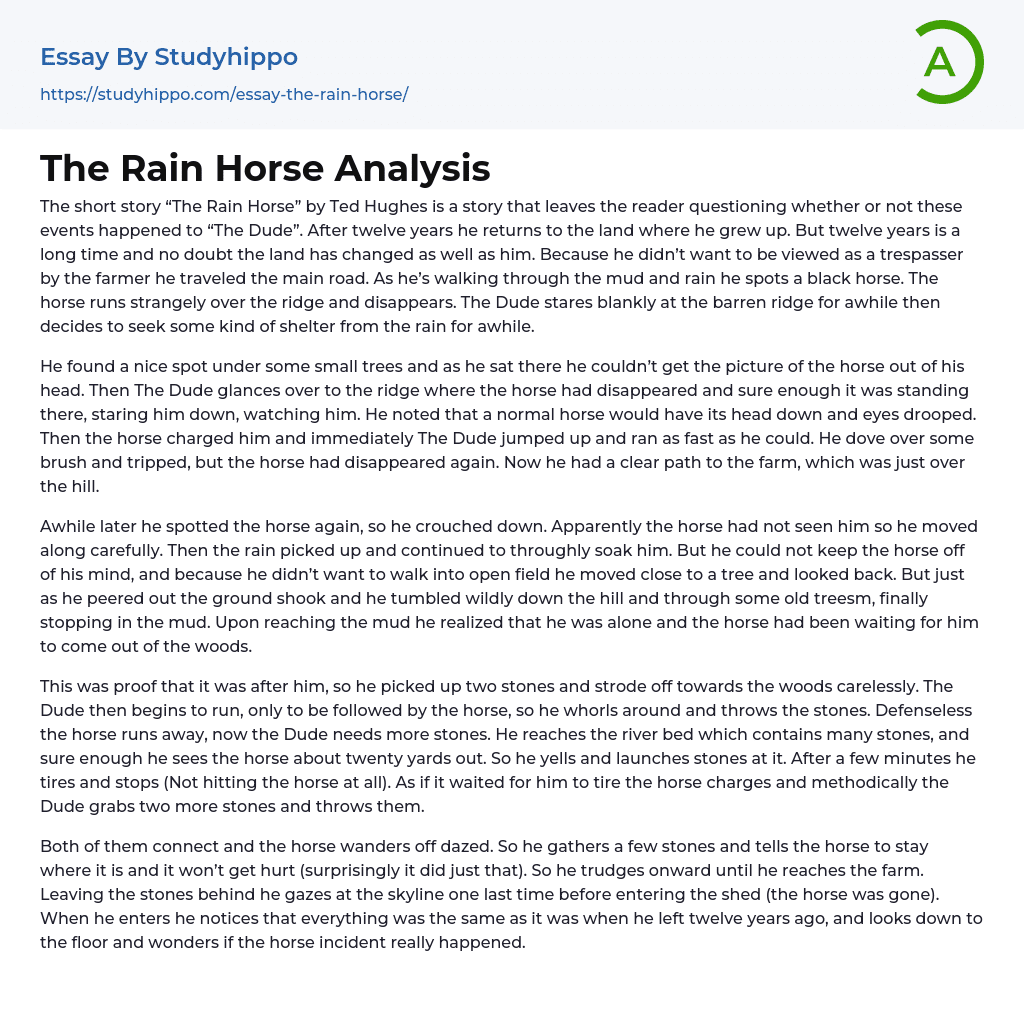 The Rain Horse Analysis Essay Example