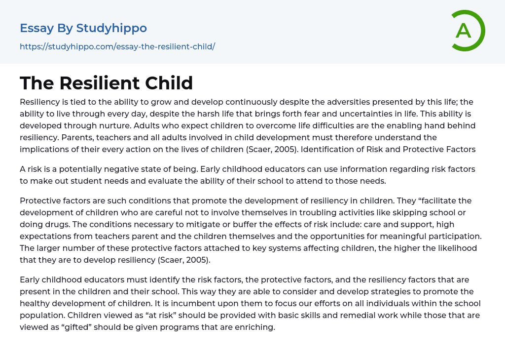 The Resilient Child Essay Example