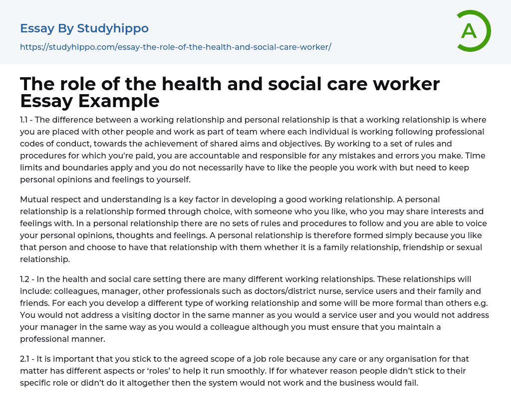 The role of the health and social care worker Essay Example