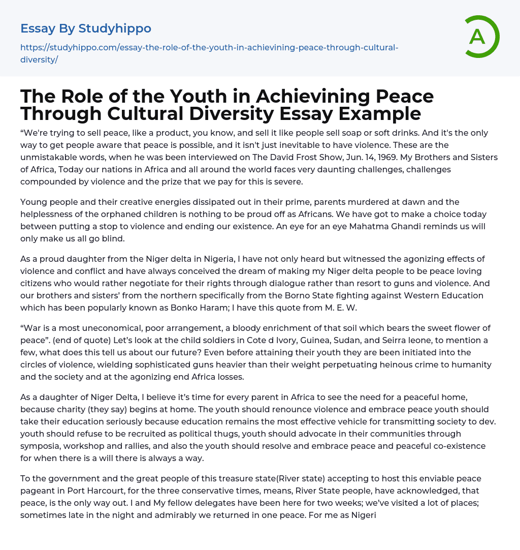 The Role of the Youth in Achievining Peace Through Cultural Diversity Essay Example