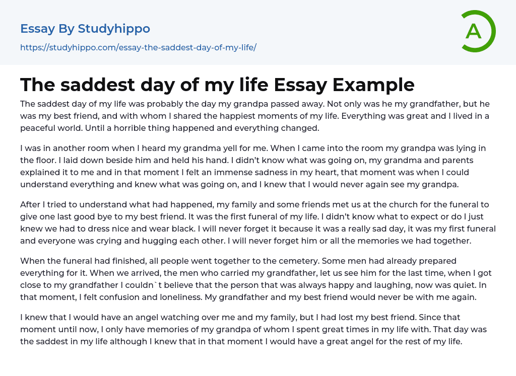 The saddest day of my life Essay Example