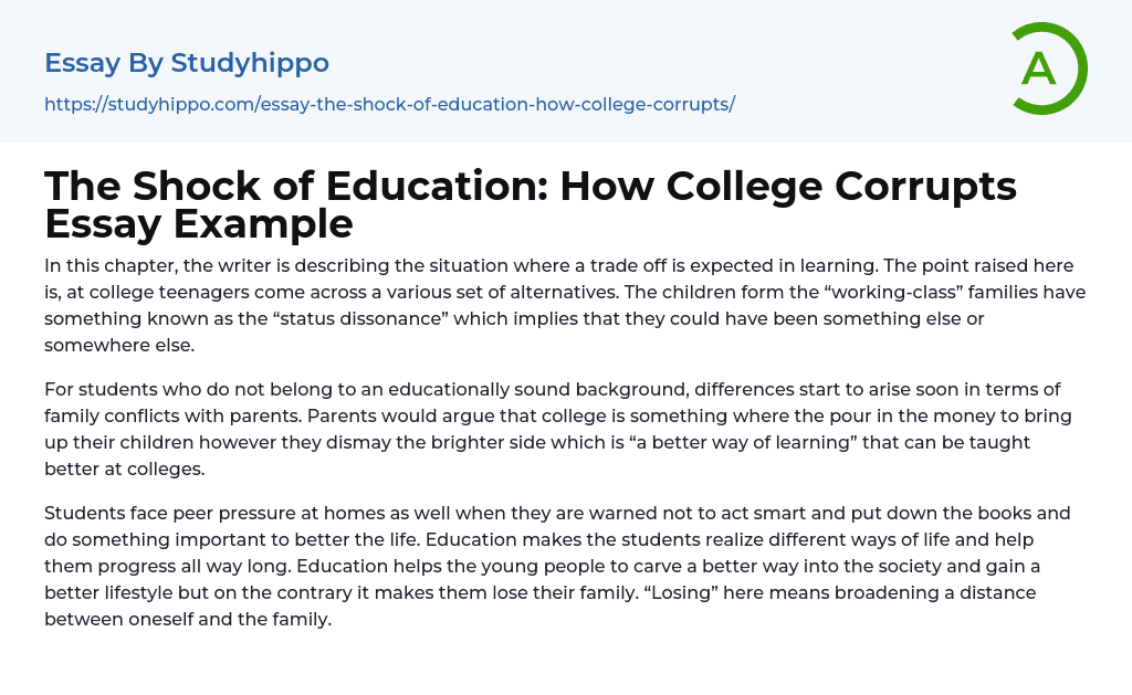The Shock of Education: How College Corrupts Essay Example