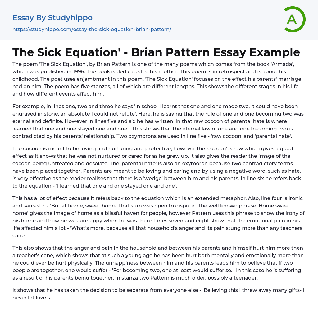 The Sick Equation’ – Brian Pattern Essay Example
