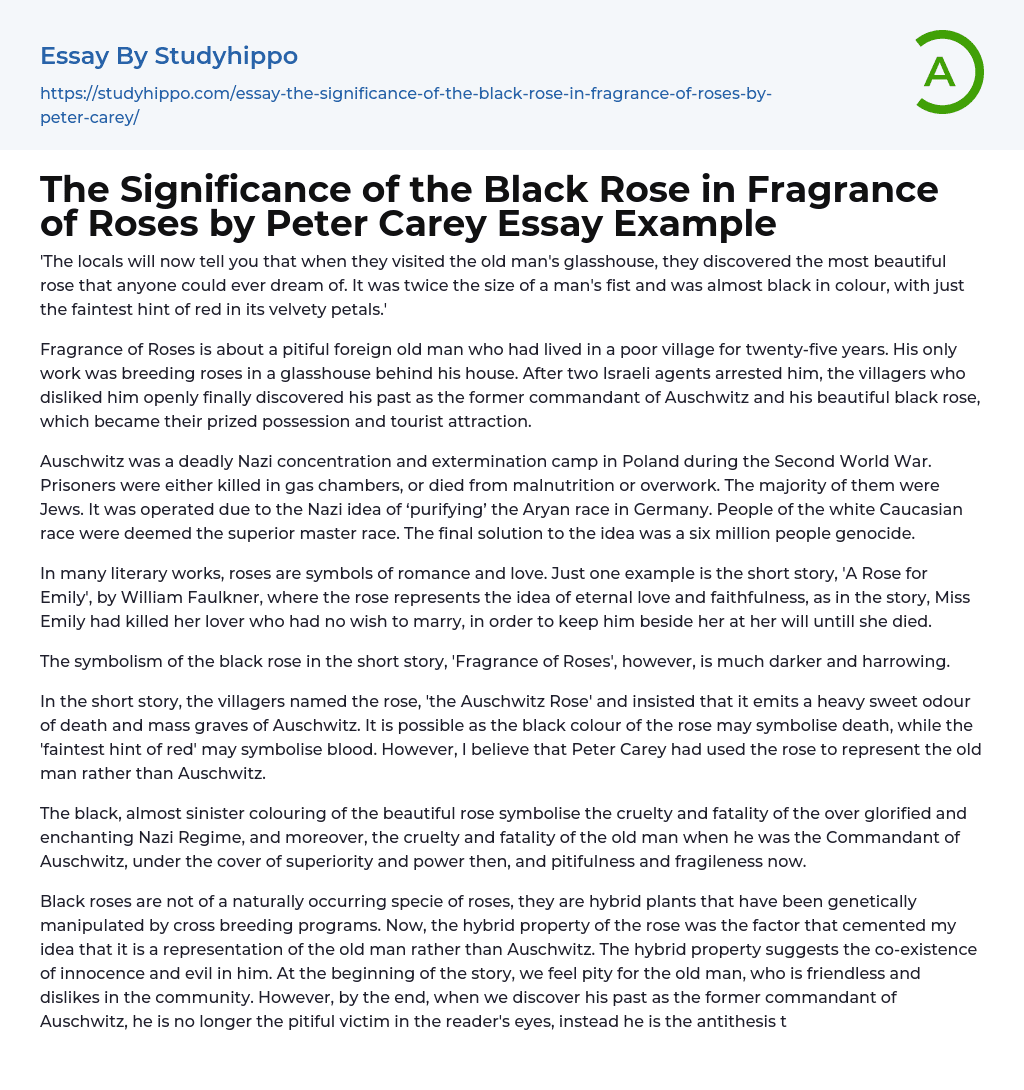 The Significance of the Black Rose in Fragrance of Roses by Peter Carey Essay Example
