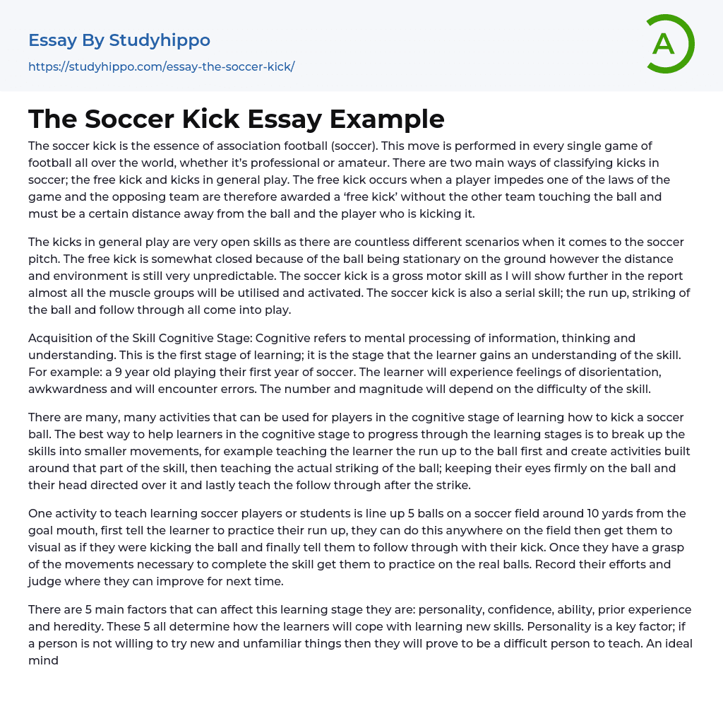 The Soccer Kick Essay Example