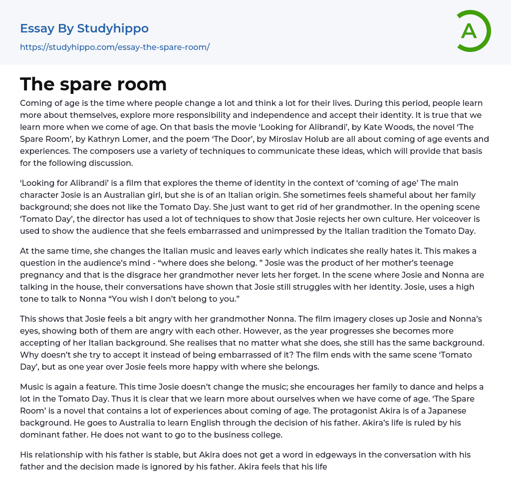The spare room Essay Example