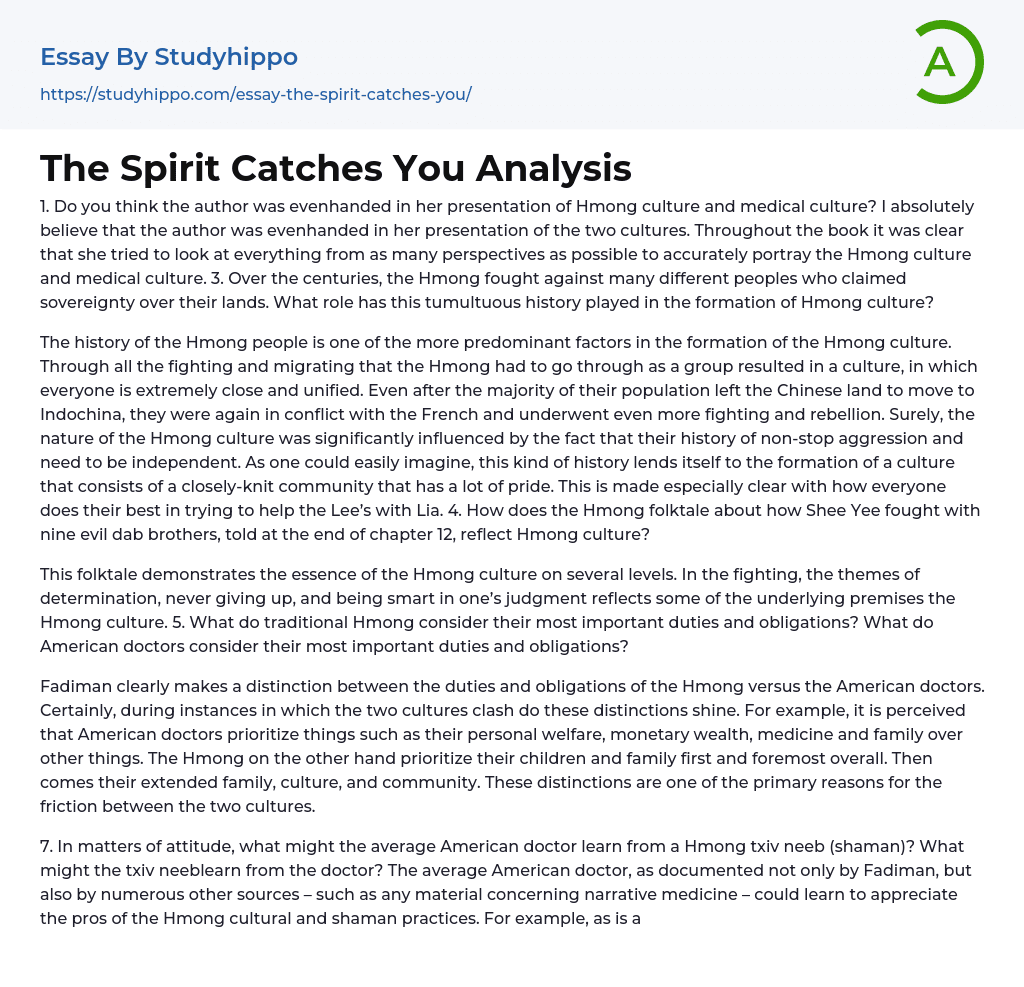 The Spirit Catches You Analysis Essay Example