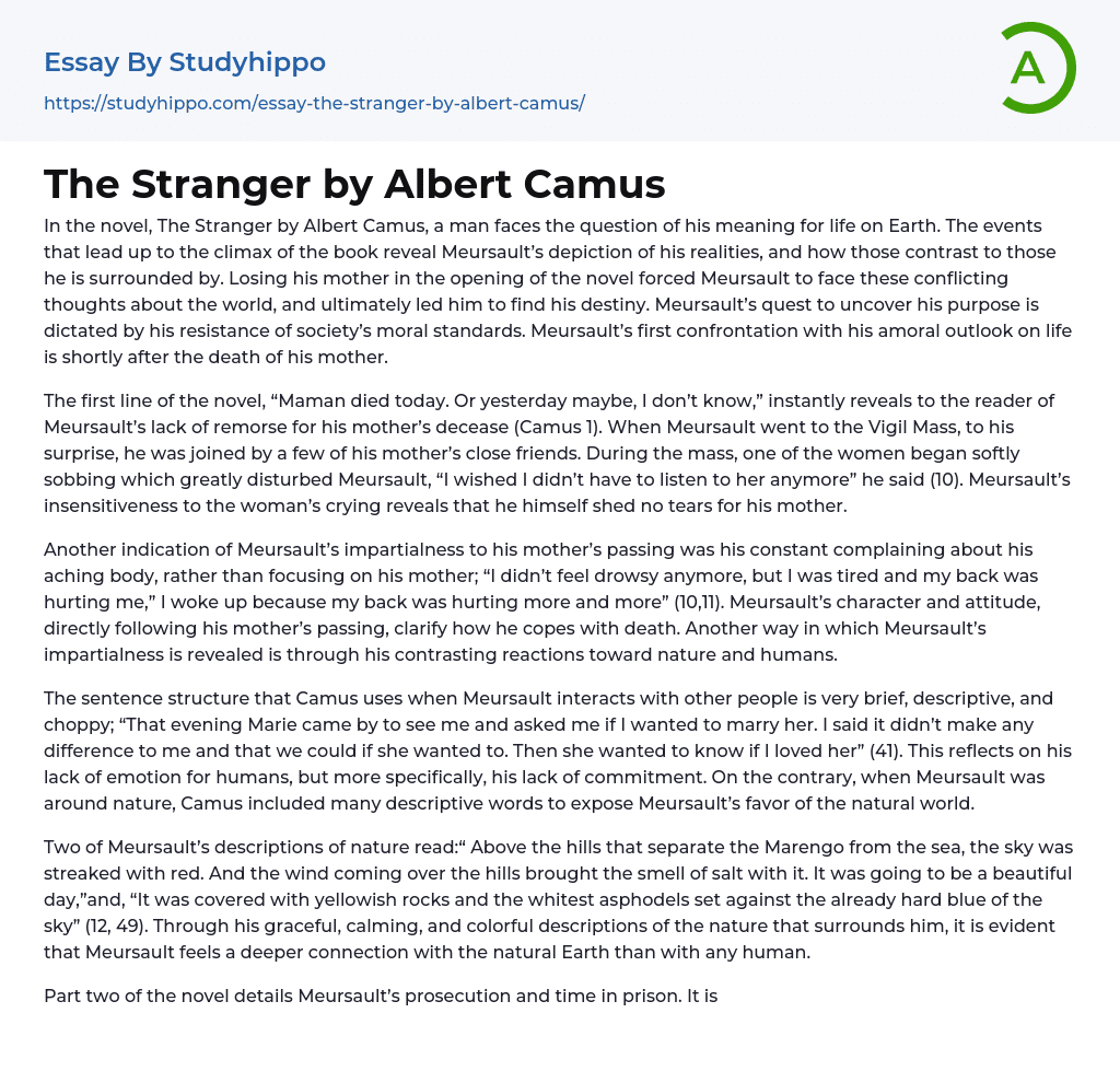 The Stranger by Albert Camus Essay Example