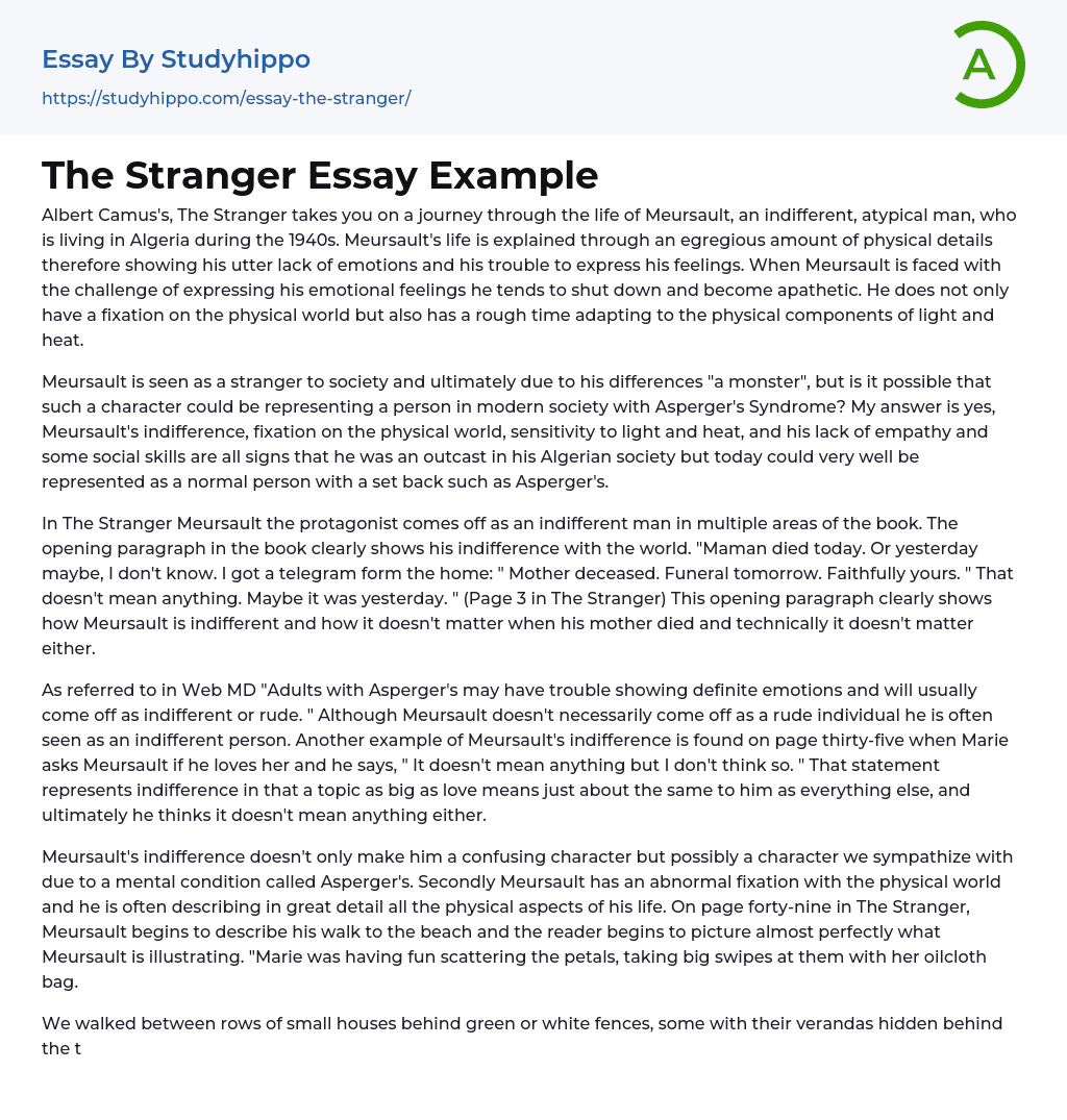 The Stranger Essay Example