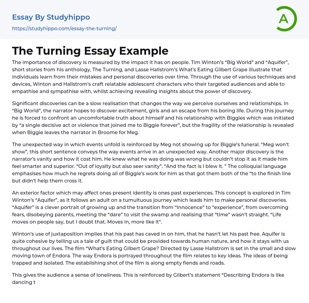 The Turning Essay Example