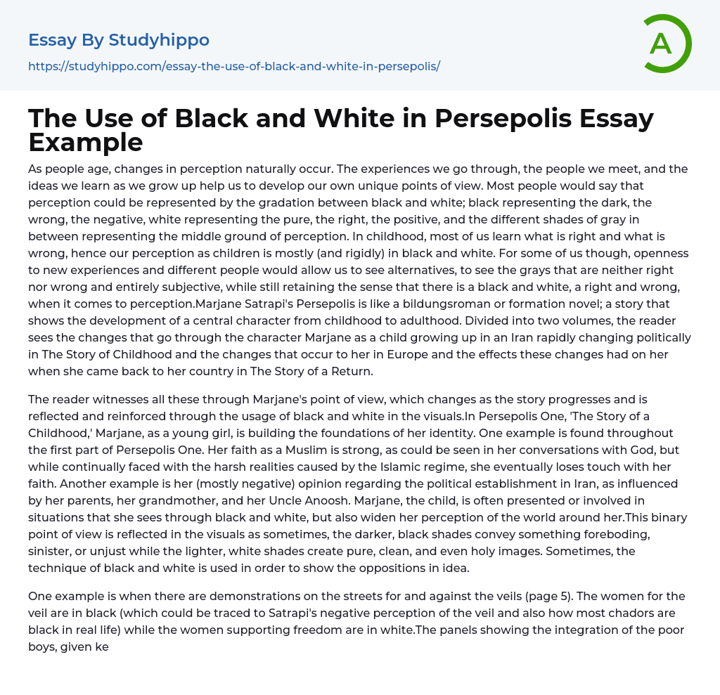 The Use of Black and White in Persepolis Essay Example