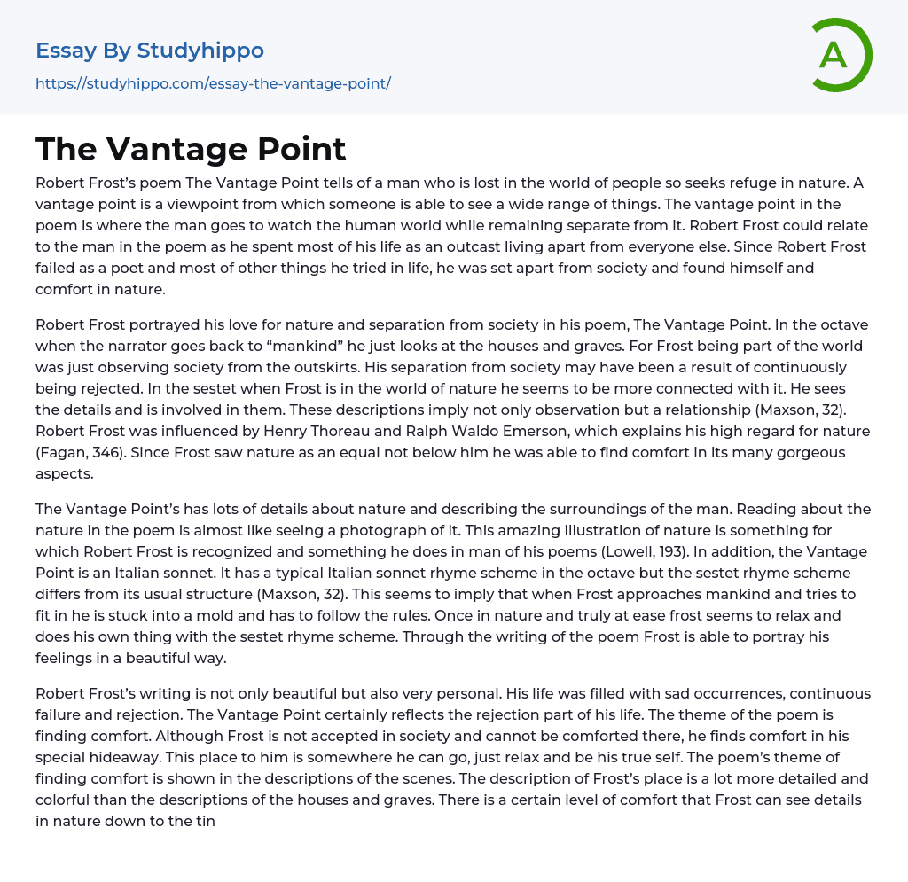 The Vantage Point Essay Example