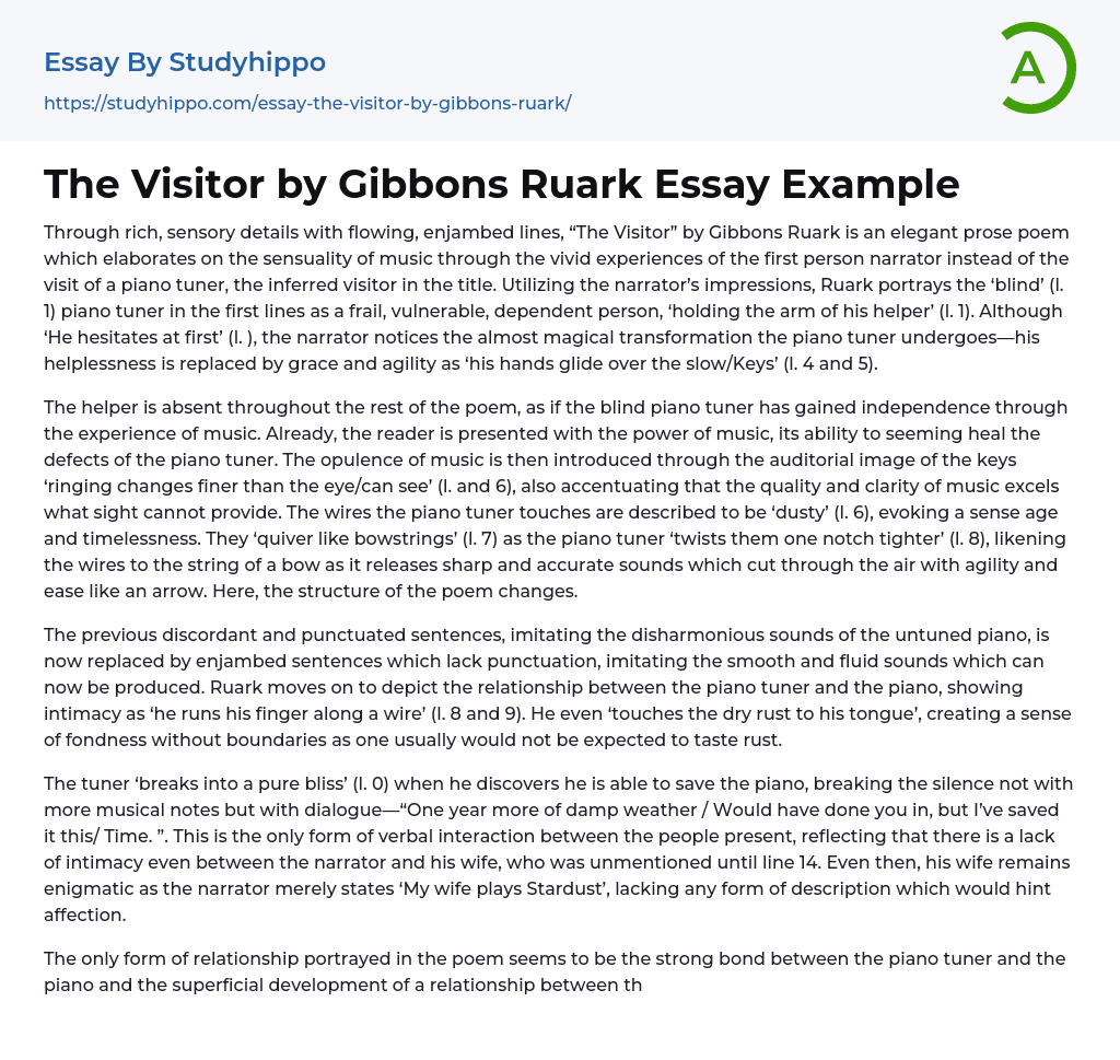The Visitor by Gibbons Ruark Essay Example