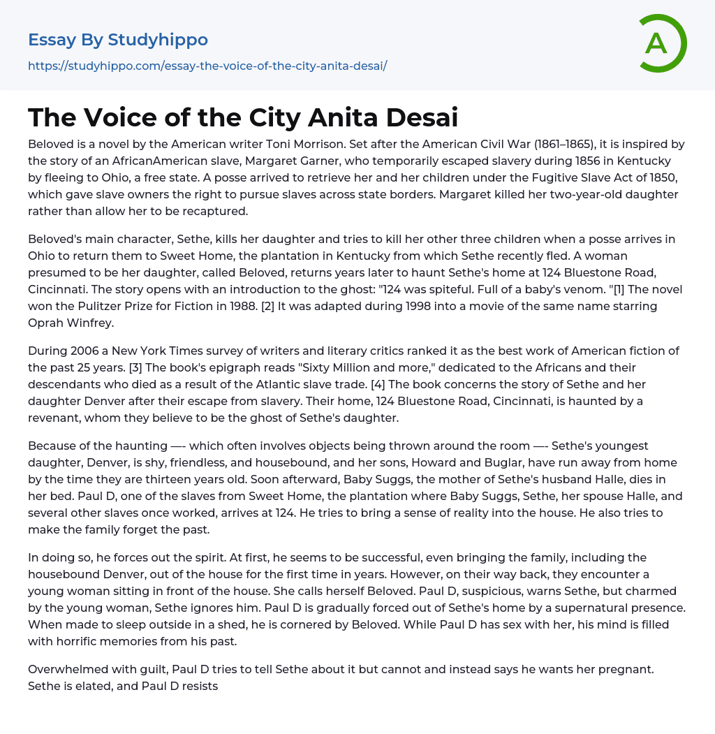 The Voice of the City Anita Desai Essay Example