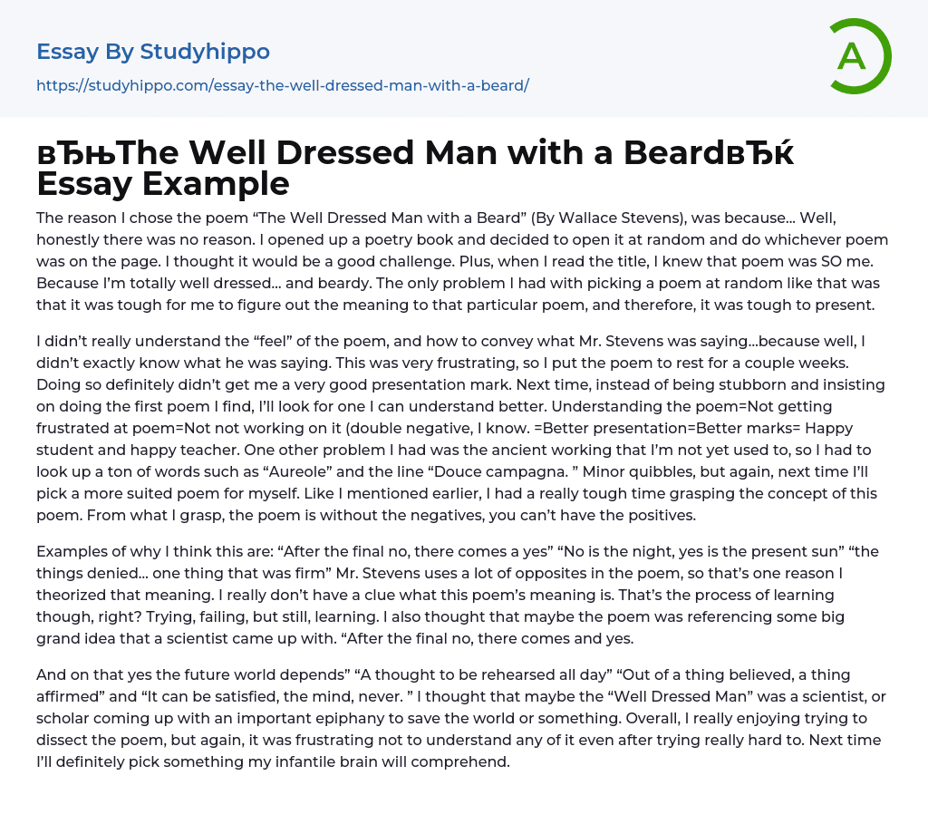 “The Well Dressed Man with a Beard” Essay Example