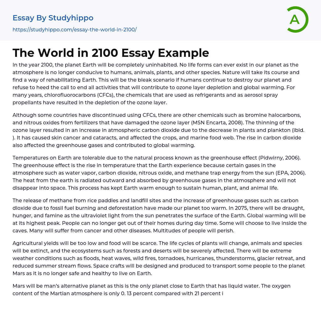 The World in 2100 Essay Example