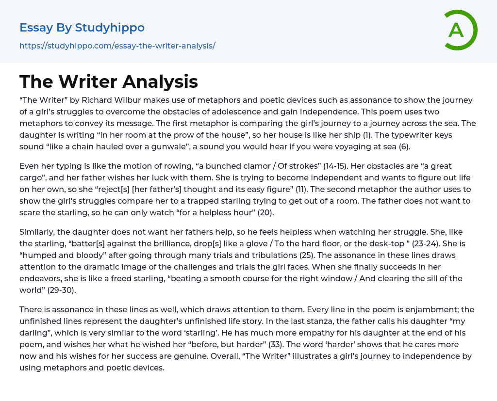 The Writer Analysis Essay Example