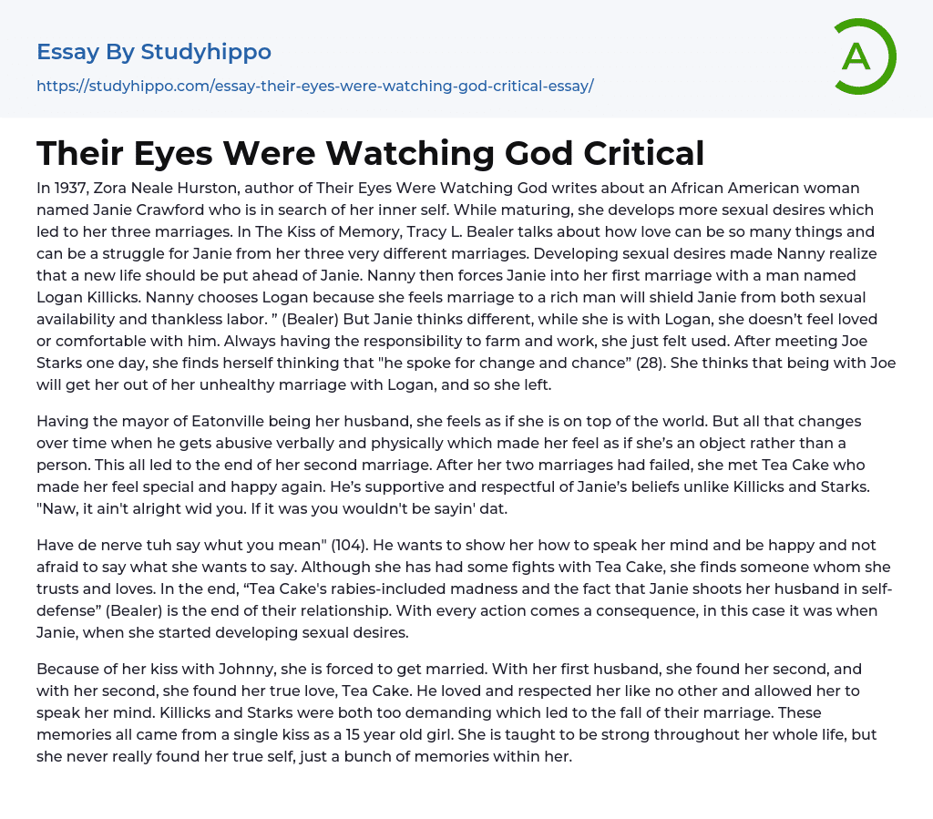 Their Eyes Were Watching God Critical Essay Example