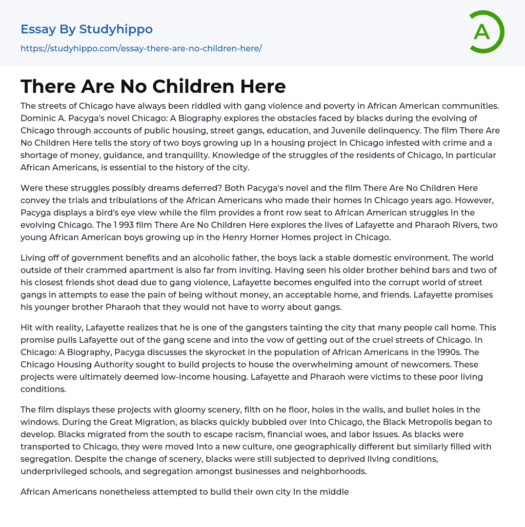 There Are No Children Here Essay Example