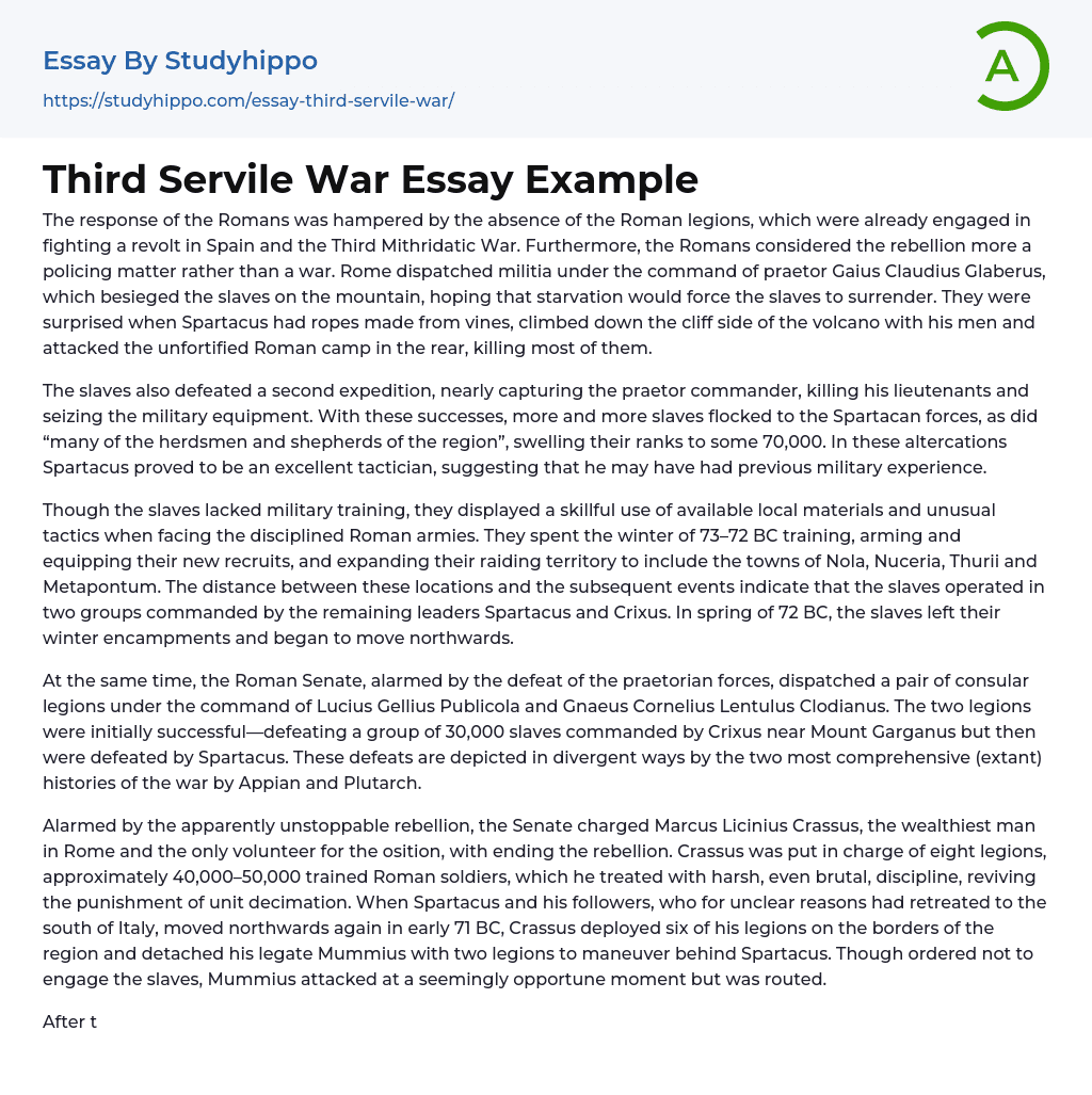 Third Servile War Essay Example