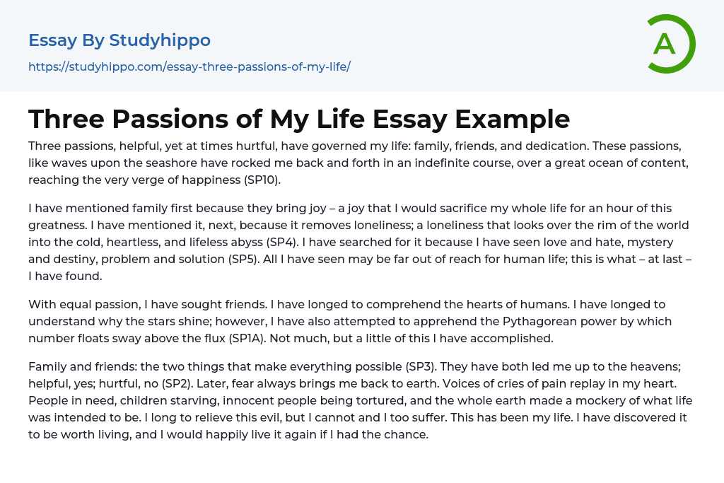 Three Passions of My Life Essay Example