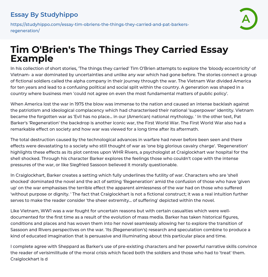the things they carried essay examples