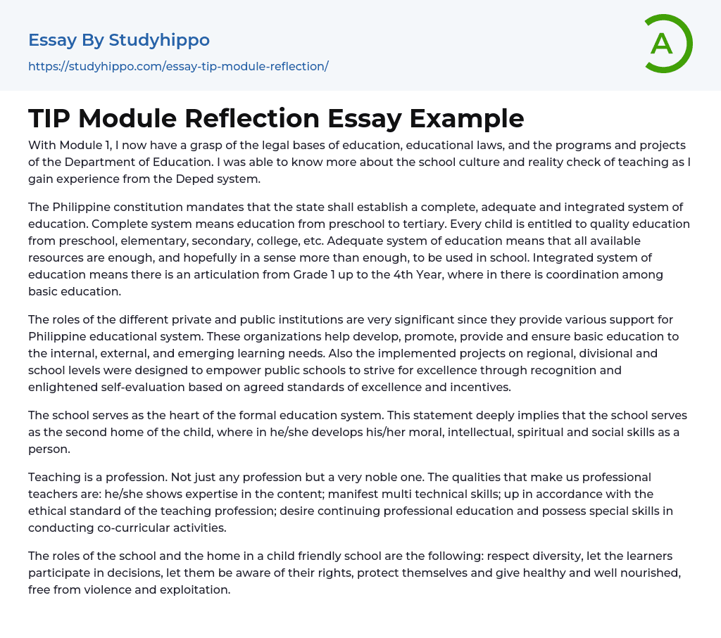 TIP Module Reflection Essay Example