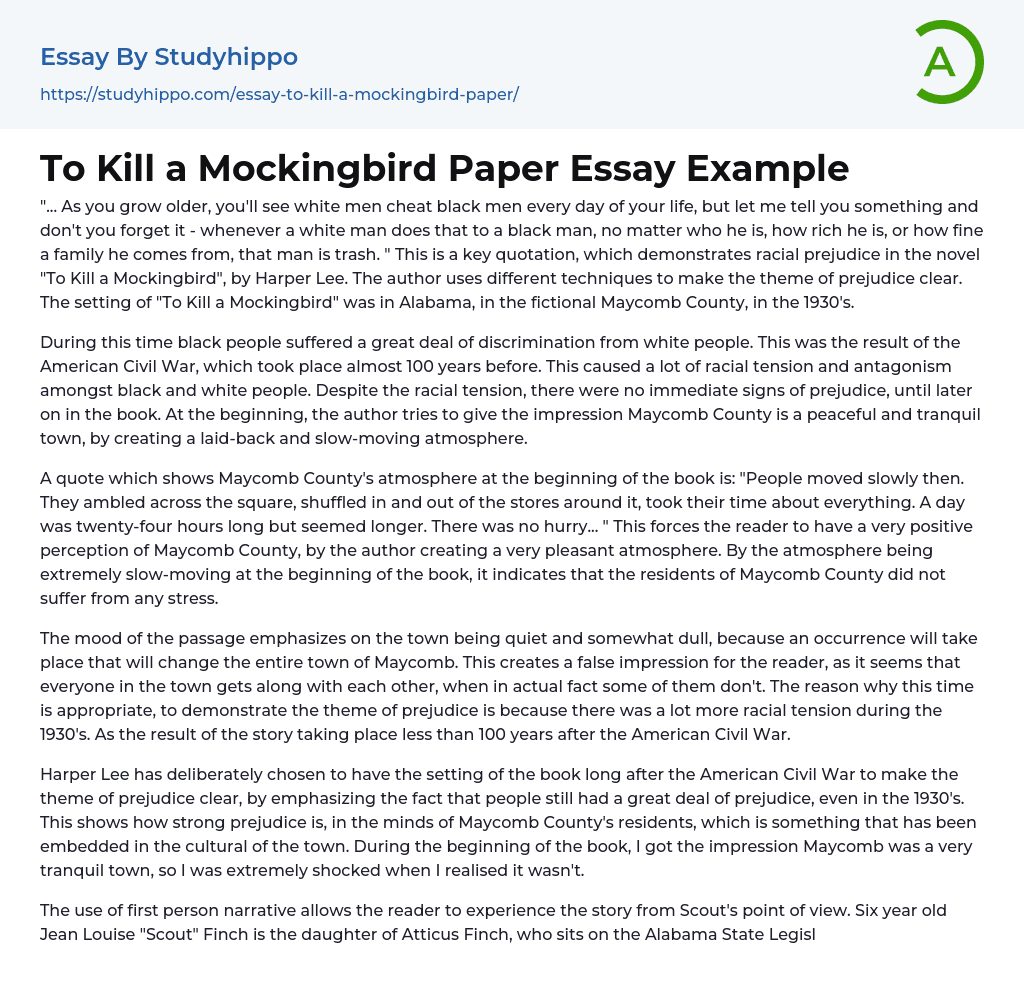 To Kill a Mockingbird Paper Essay Example
